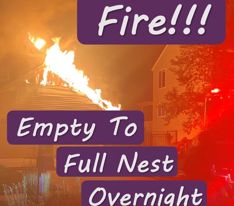 Empty Nest to Full Nest Due to Fire