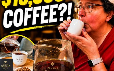 Touring Panama City Before Our Cruise – Canal, Cusine, Coffee & Culture