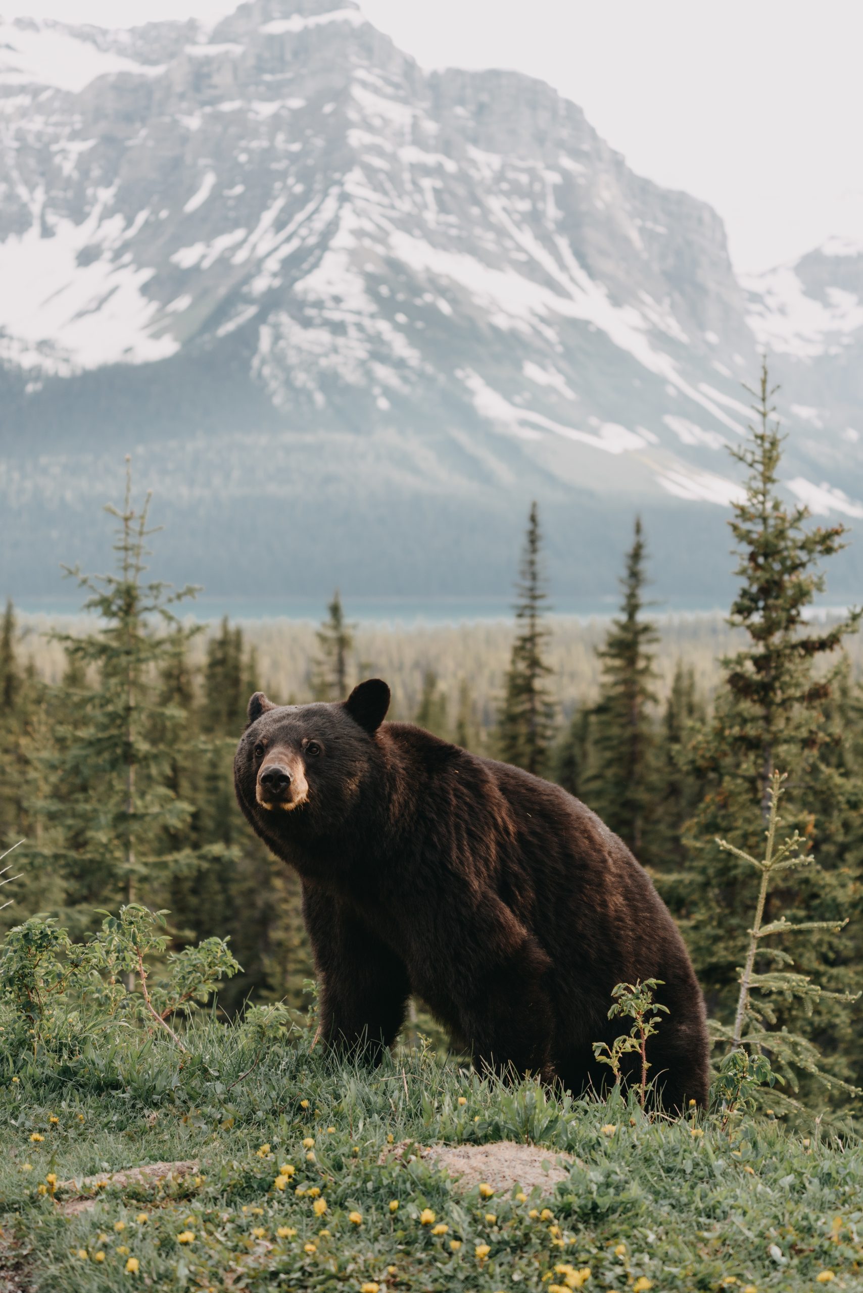 Travel to Alaska Travel to Alaska