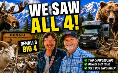 We Found All of Denali’s Big 4